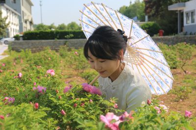 平阴“玫瑰之约”7