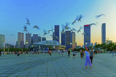 大连欢迎您——达沃斯