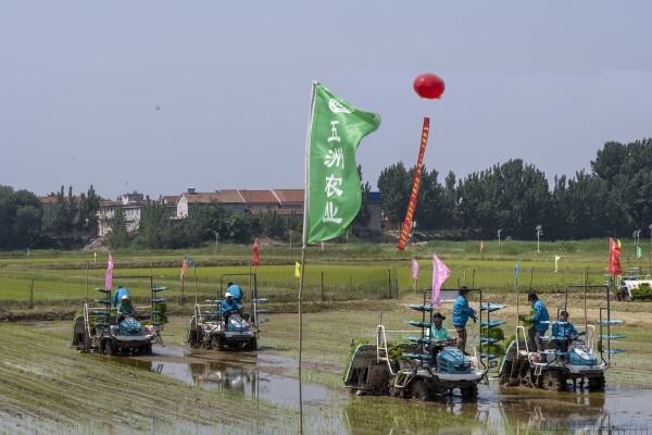 济南五洲农业-----打造当地百姓脱贫致富路 (组照）