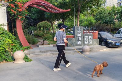 遛狗3