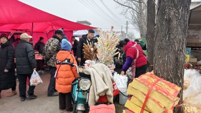 熙熙攘攘赶大集