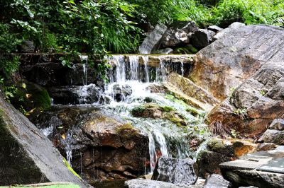 水泉溪夏日风光（2）