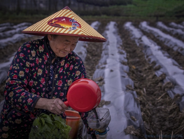 中国梦