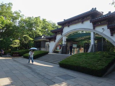 初夏五龙潭1
