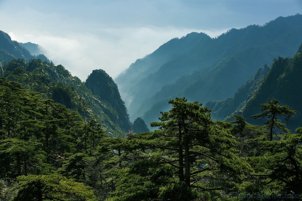 [原创] 天下奇山 黄山（十五）