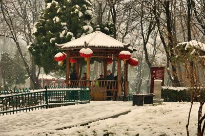 初春的雪（2）