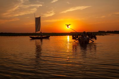 《夕照渔舟伴鹰姿》