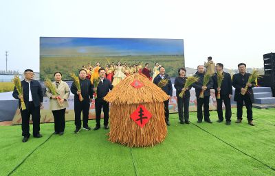 稻子丰收（2025.10.26）