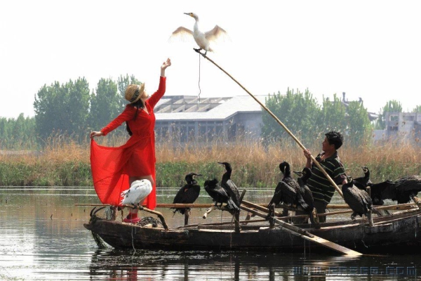 共舞