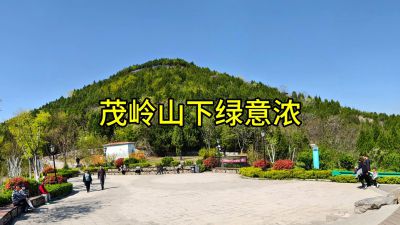 茂陵山下绿意浓