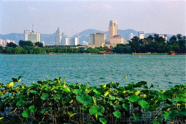 魅力泉城