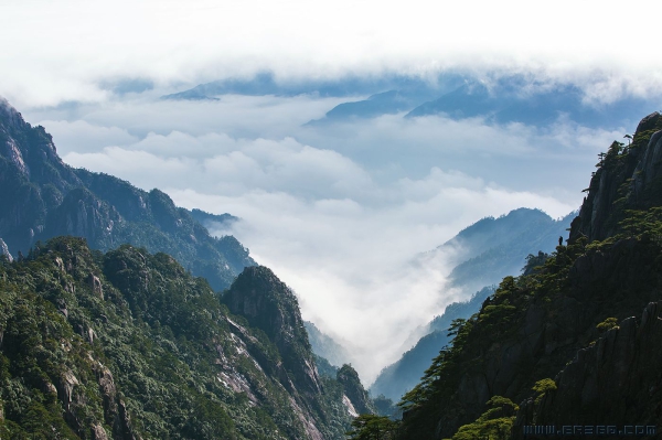 [原创]天下奇山 黄山（二十三）