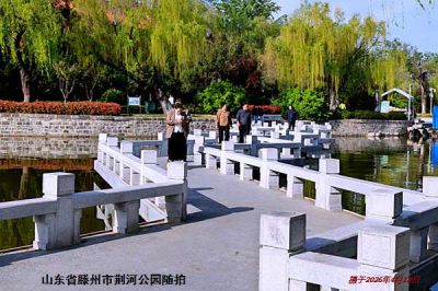 逛公园——43