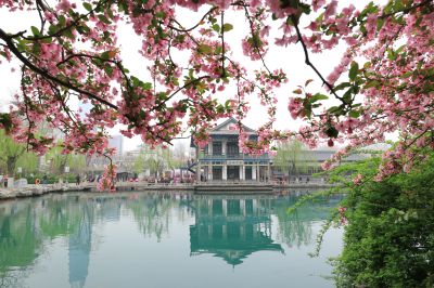 济南新八景作品投稿：龙潭春色