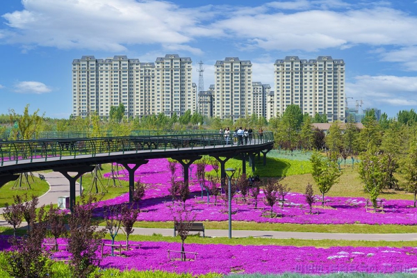 美丽家园