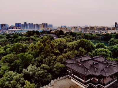 初秋的明湖（5）