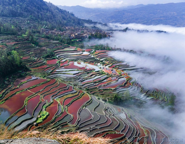 美丽乡村
