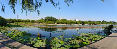 明湖之夏