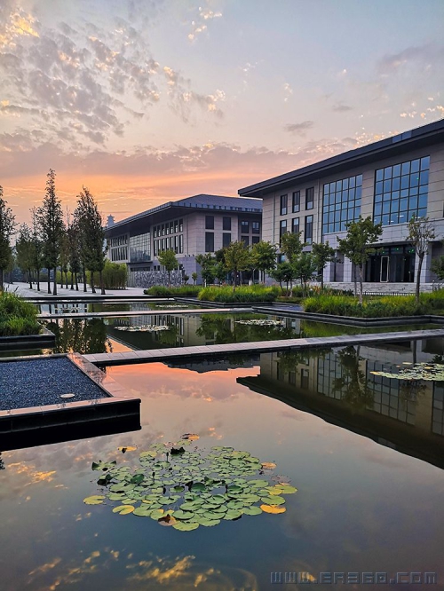 某学校实景