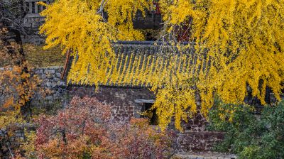 博山石门洞秋色迷人