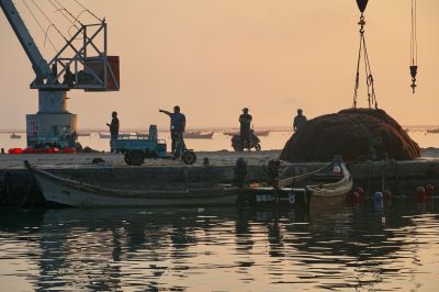码头晨曦