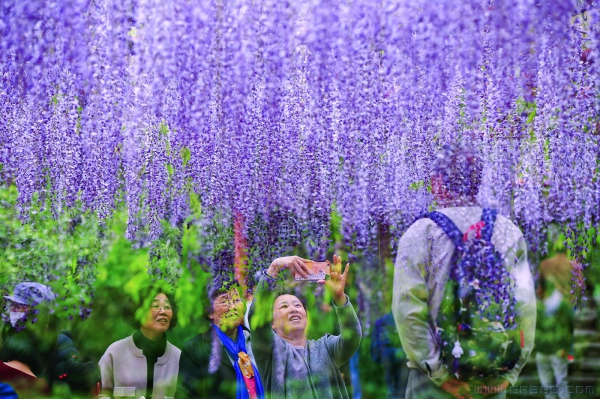 [原创]花中看人