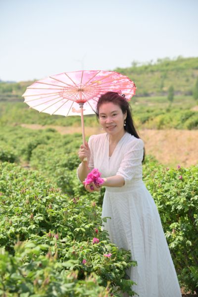 平阴“玫瑰之约”15