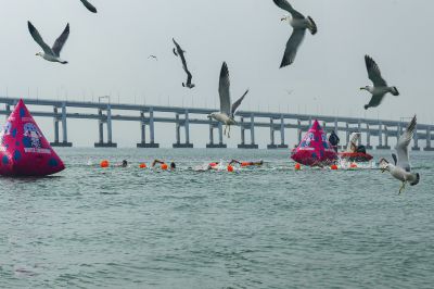 2026大连冬泳公开赛_男子百米奋泳向前