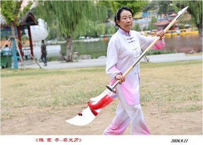 练家子——9