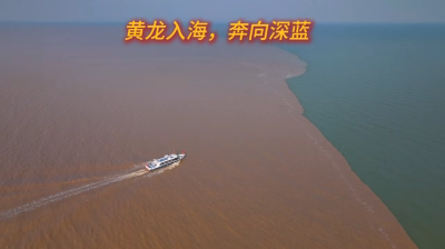 黄河入海