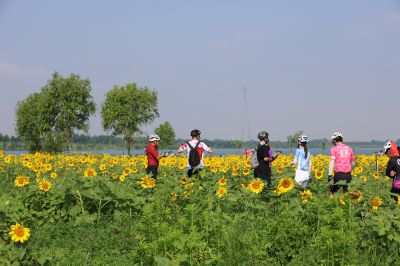 生机勃勃向阳花（2）