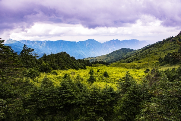 神农架小景