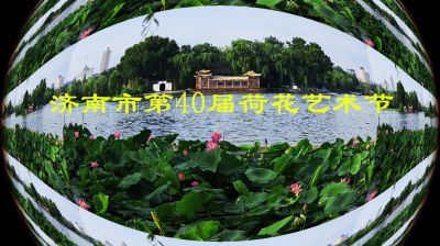 济南市第40届荷花艺术节