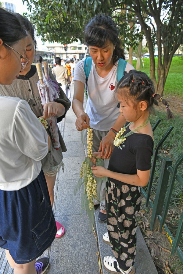 卖茉莉花项链的小姑娘