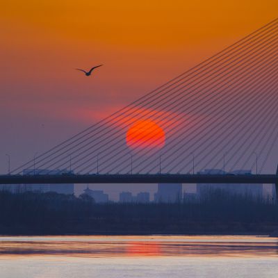 济南建邦黄河大桥 11