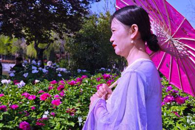 看花人