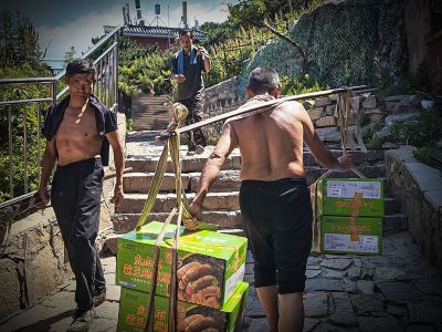 泰山挑夫