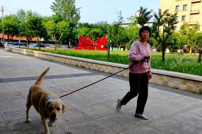 遛狗1
