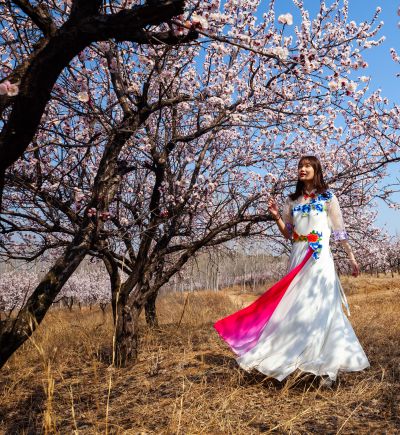 《花下裙袂扬》