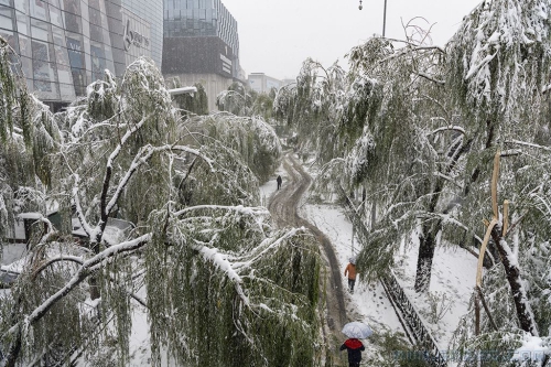 雪后黑虎泉路景