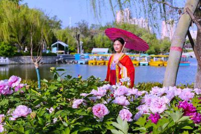 赏花女
