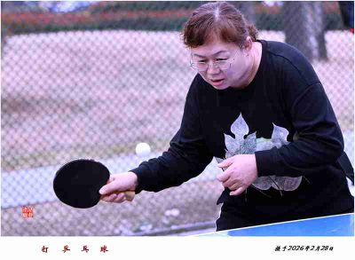 打乒乓球3