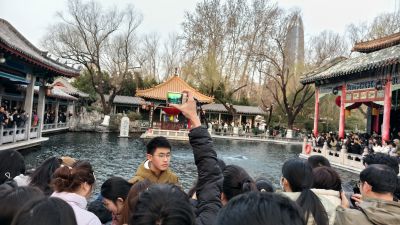 趵突泉畔