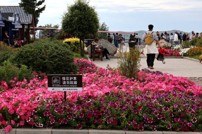 花坛