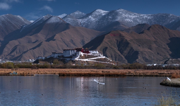 [原创]拉萨拉鲁湿地