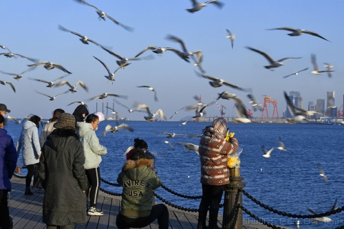 海风吹 海鸥飞