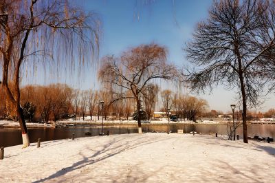 白雪降临，冬韵悠长（4）