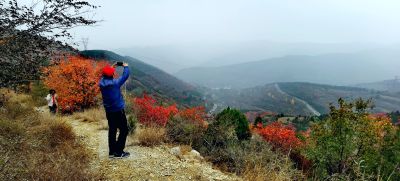 走进秋天 （2）