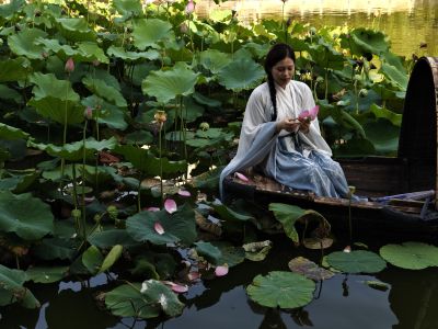 误入藕花深处