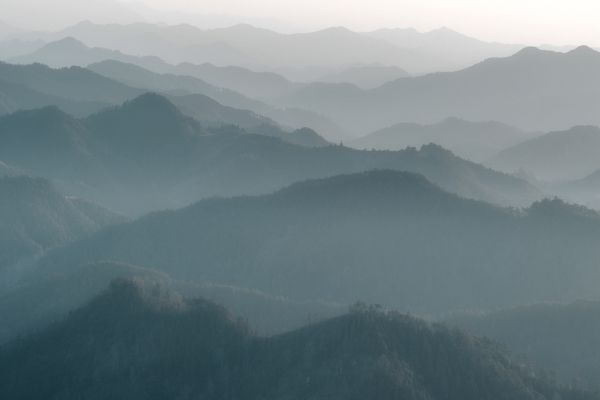 淡雅